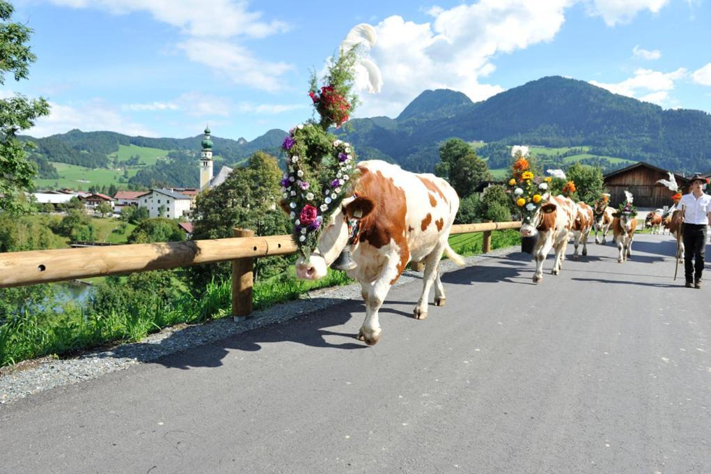 Alpapart Schneider Alpbach Exterior photo